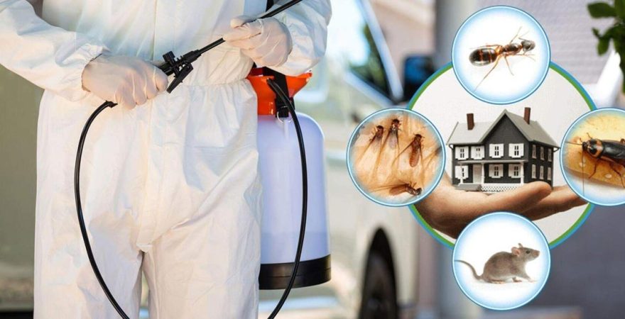 Şarköy Böcek İlaçlama