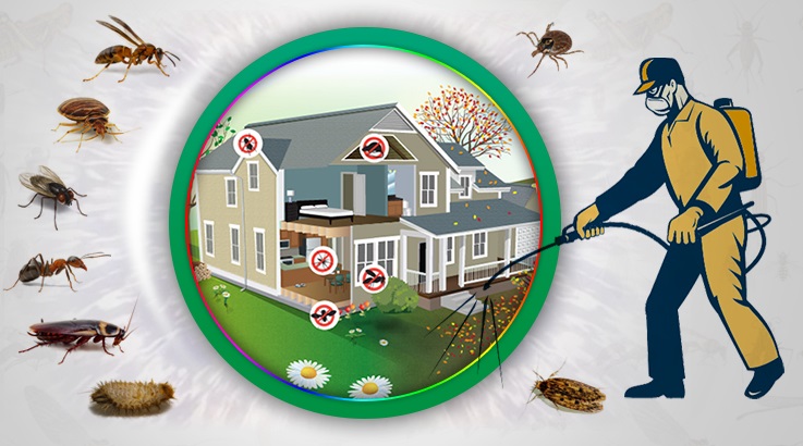 Şarköy Böcek İlaçlama