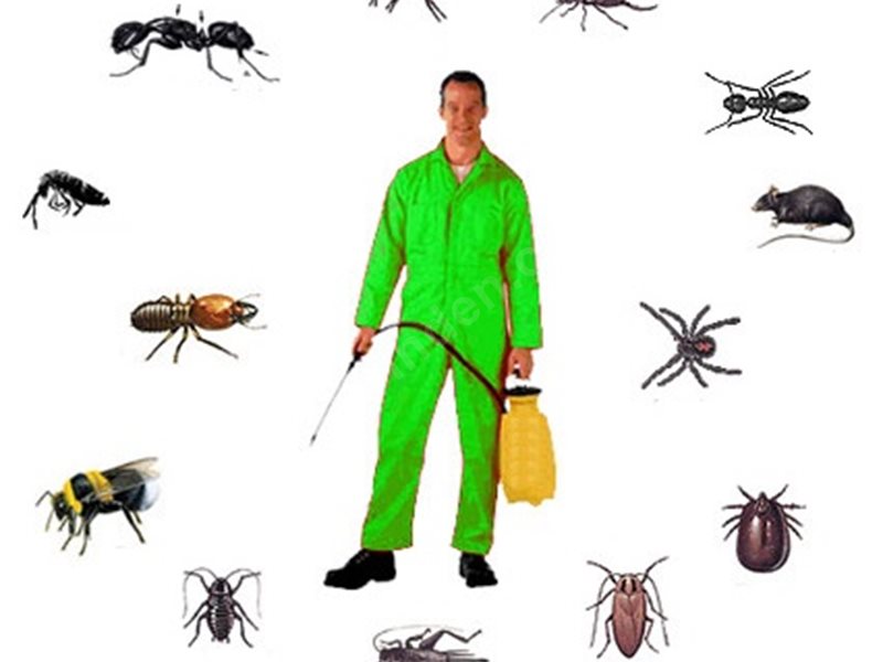 Şarköy Böcek İlaçlama